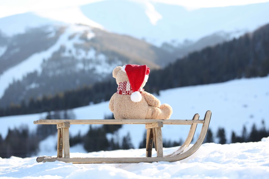 A teddy bear enjoying Christmas Skiing.